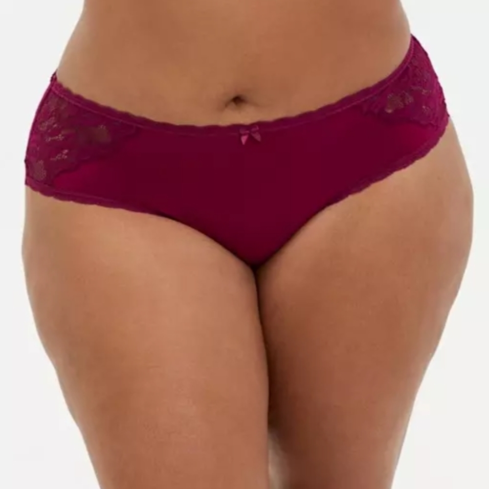 Torrid Microfiber And Super Soft Lace Mid-Rise Hipster Panty